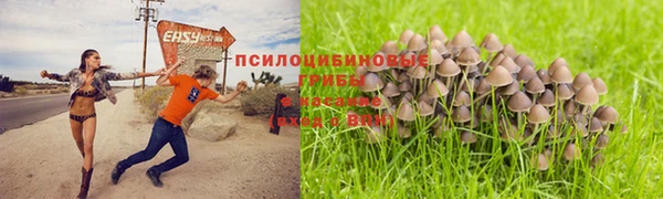 крисы Балахна