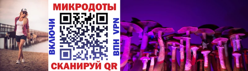 Псилоцибиновые грибы Psilocybe цена наркотик Вытегра